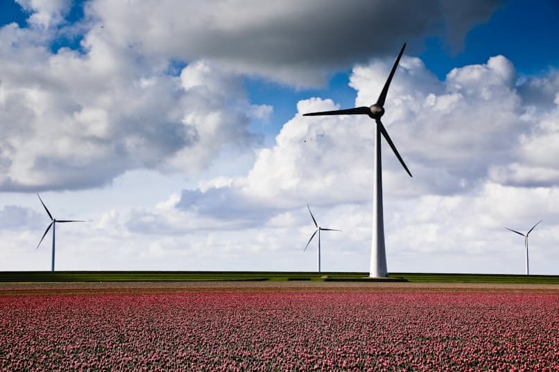 Energy & Climate