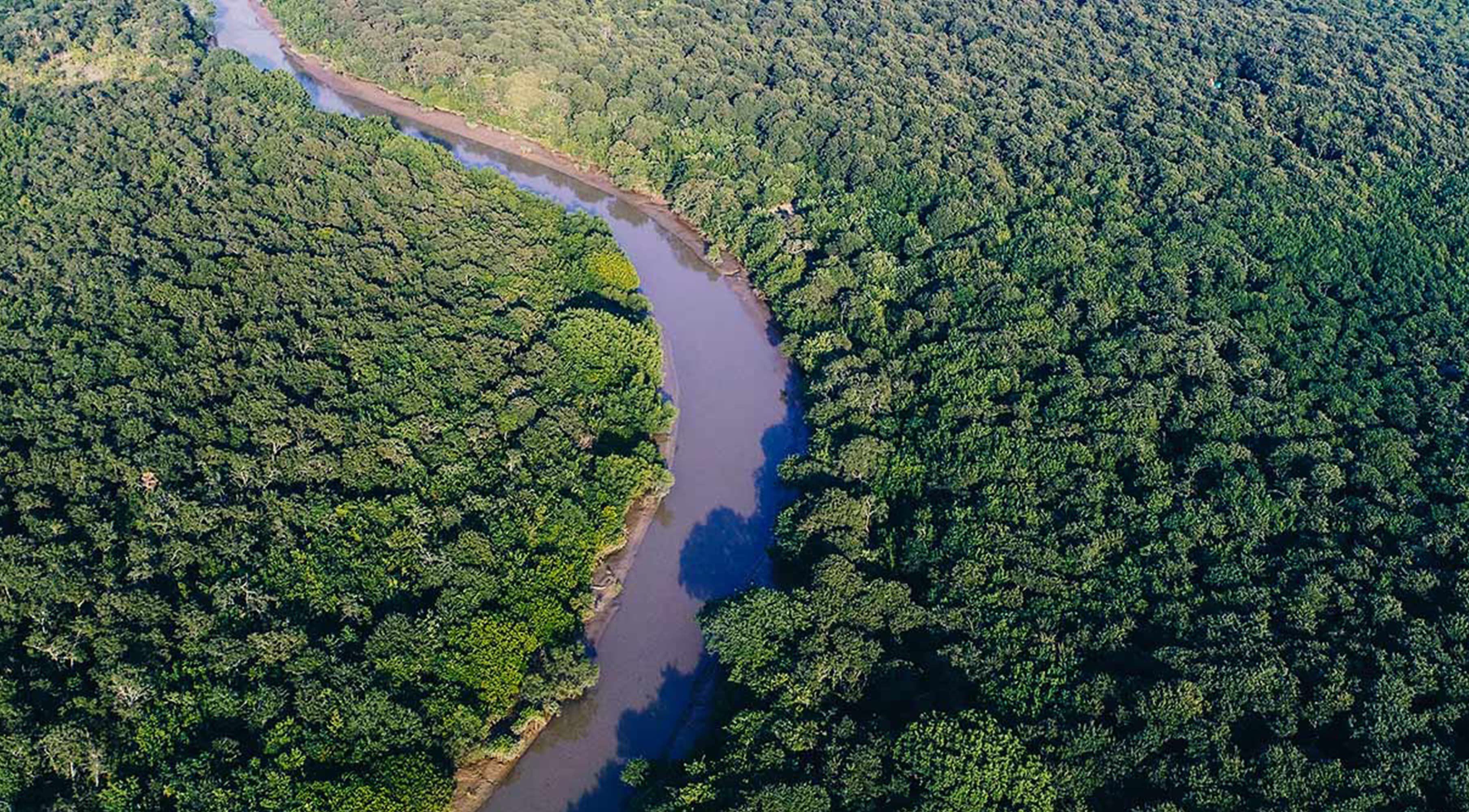 Bhitarkanika National Park